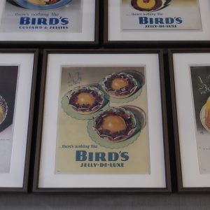 Birds Custard adverts